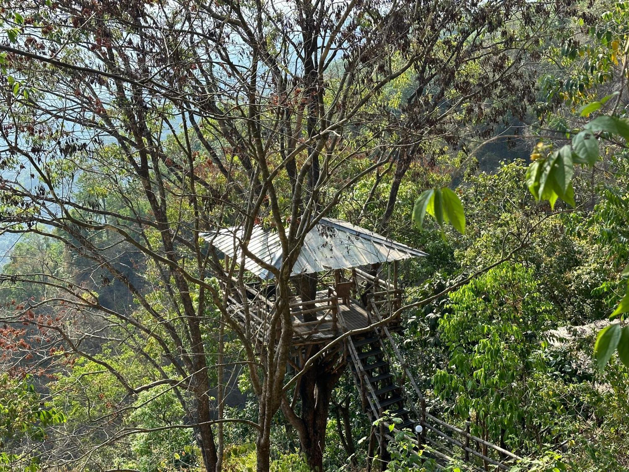 Sunset Valley Kerala Pool Resort - Serene Natural Forest Cottage Stay In Idukki With Sunrise & Sunset Panoramas, Natural Streams & Tranquil Summer Evenings Pirmed Ngoại thất bức ảnh