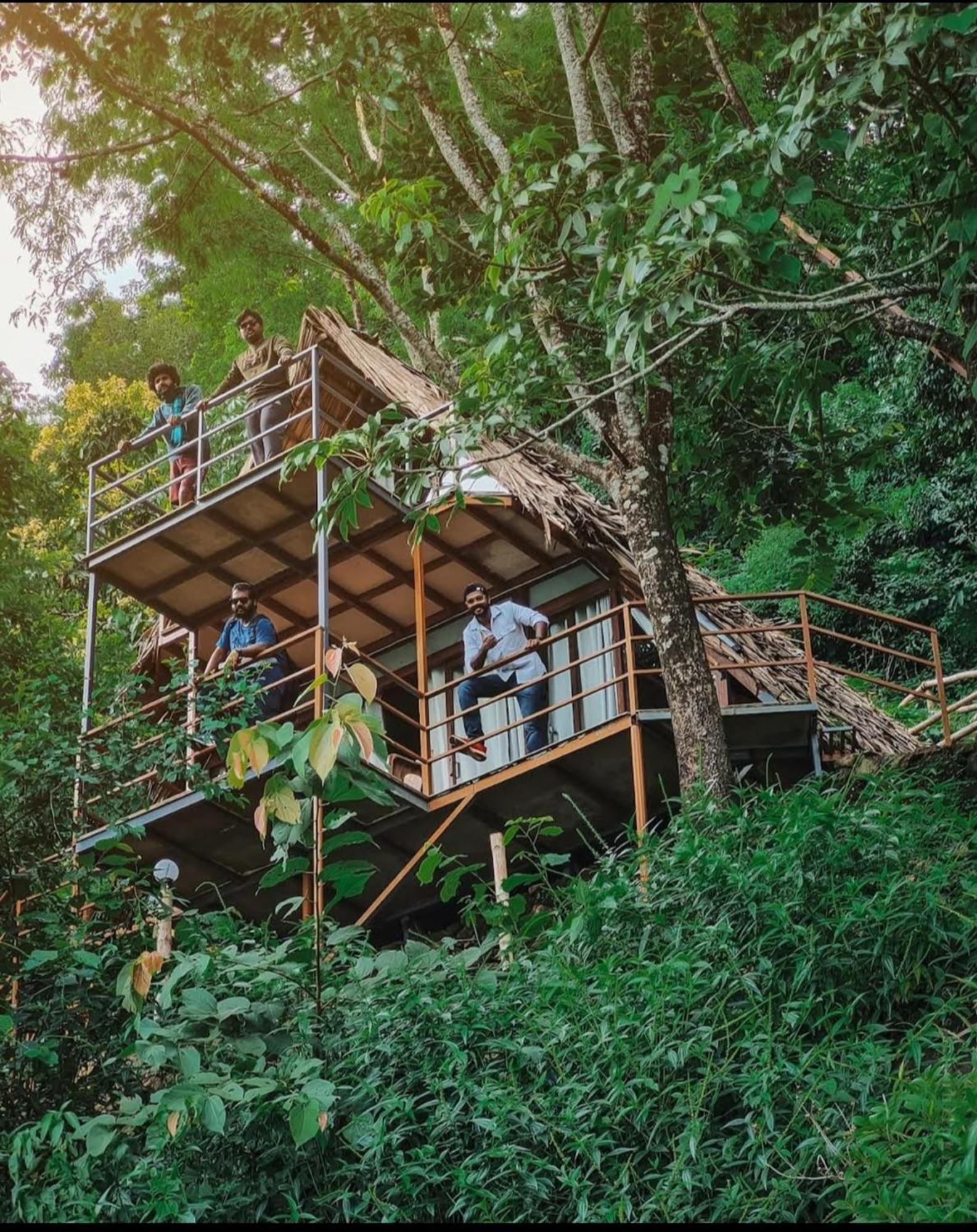 Sunset Valley Kerala Pool Resort - Serene Natural Forest Cottage Stay In Idukki With Sunrise & Sunset Panoramas, Natural Streams & Tranquil Summer Evenings Pirmed Ngoại thất bức ảnh