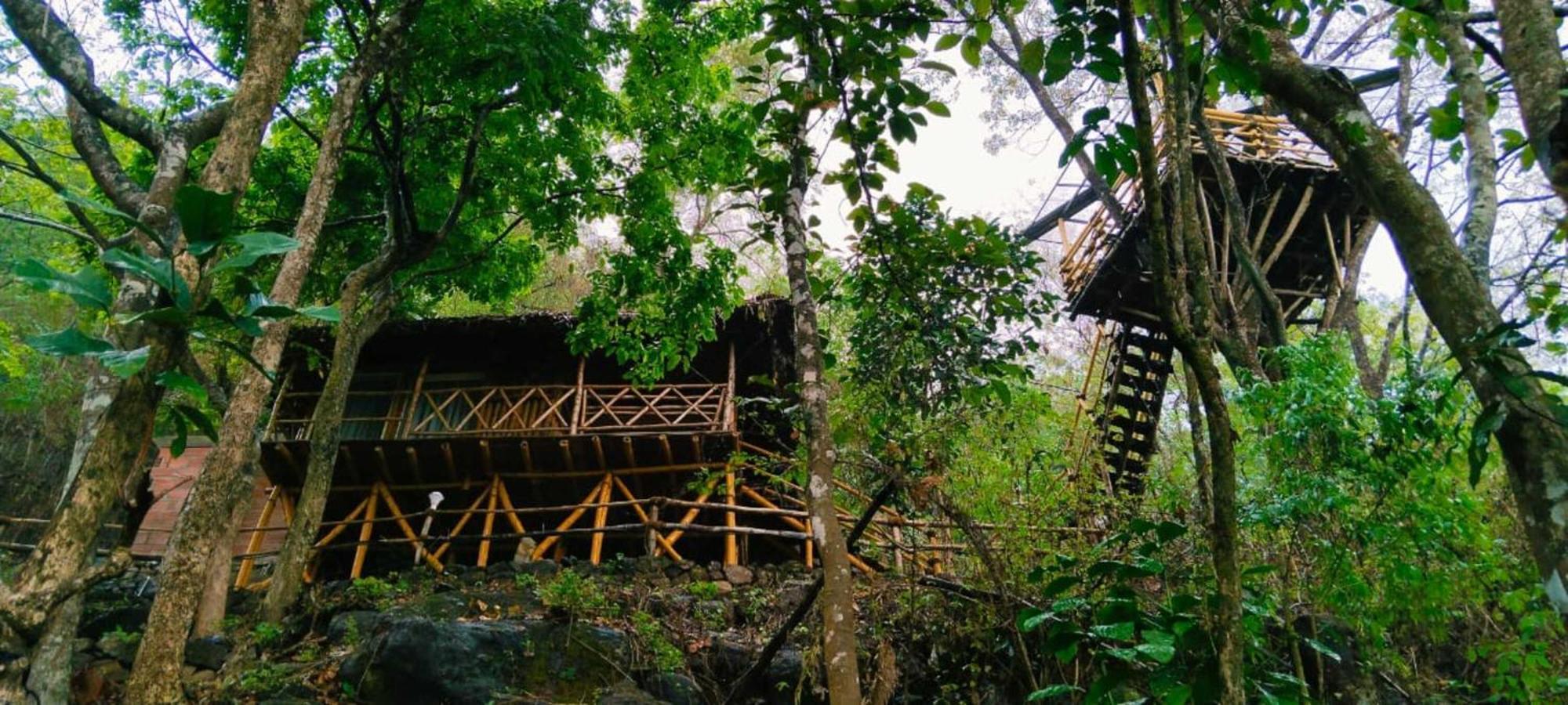 Sunset Valley Kerala Pool Resort - Serene Natural Forest Cottage Stay In Idukki With Sunrise & Sunset Panoramas, Natural Streams & Tranquil Summer Evenings Pirmed Ngoại thất bức ảnh